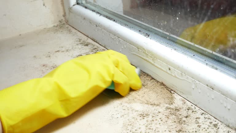 Kempner, TX Mold Removal Company